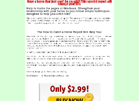 cheap Special Report: How to Catch a Horse