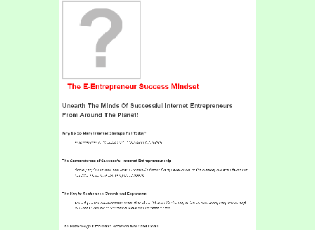 cheap The E-Entrepreneur Success Mindset