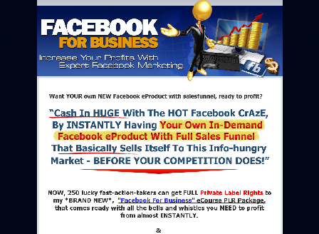cheap Facebook For Business PLR