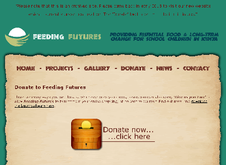 cheap Charitable Donation to Feeding Futures