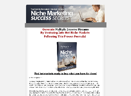 cheap Niche Marketing Success Secrets