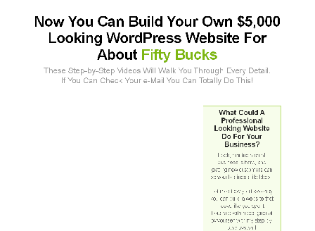 cheap Modular Video WordPress Training