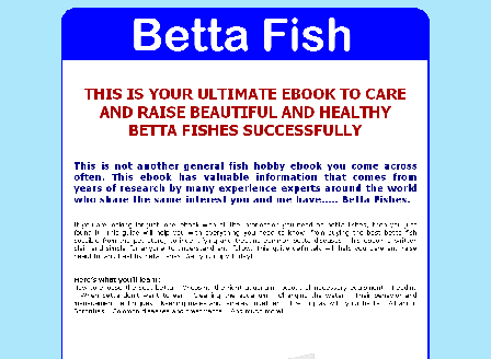 cheap Betta Fish Success