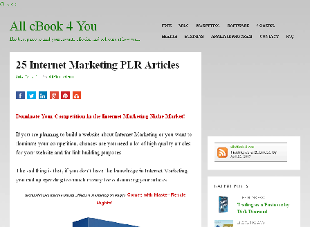 cheap 25 Internet Marketing PLR Articles