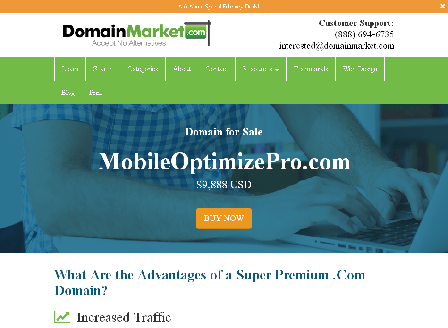 cheap The Ultimate WP Mobile Optimizer Pro
