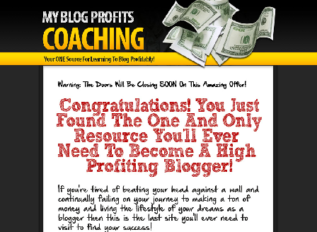 cheap My Blog For Profits