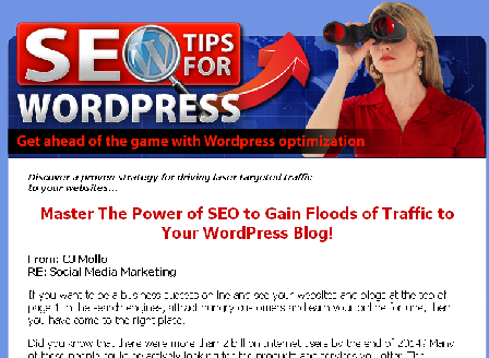 cheap SEO For WordPress With MRR
