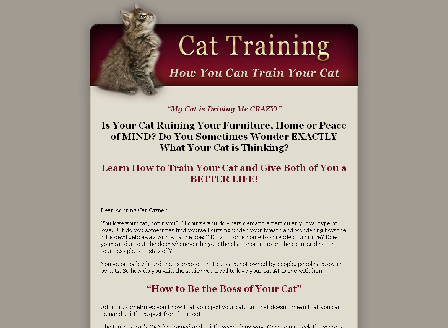 cheap Cat Training - How You Can Train Your Cat