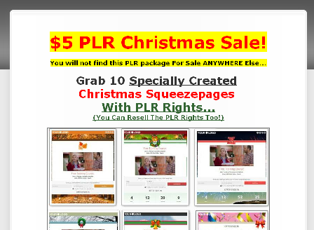 cheap $5 PLR Christmas Sale