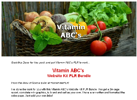 cheap Vitamin ABCs Website Kit PLR Bundle
