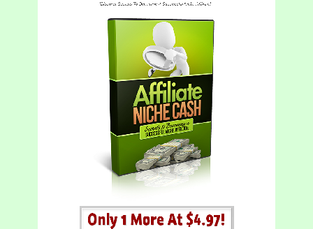 cheap Affiliate Niche Cash