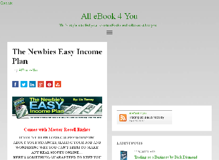 cheap The Newbies Easy Income Plan