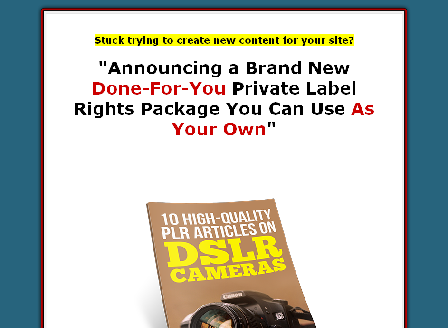 cheap 10 PLR Articles on DSLR Cameras