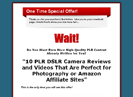 cheap 10 PLR Articles on DSLR Camera Reviews