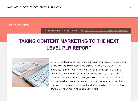 cheap Taking Content Marketing to the Next Level PLR Report