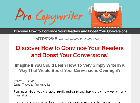 cheap Pro Copywriter With Master Resell Rights