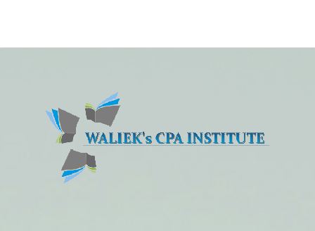 cheap CPA Institute