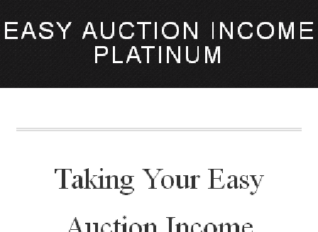 cheap Easy Auction Income Coaching - One Time Payment