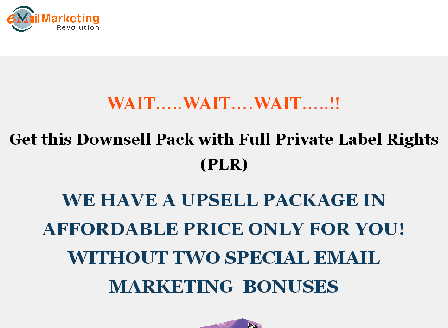 cheap Email Marketing Revolution Downsell