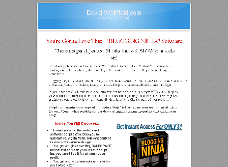 cheap Blogging Ninja software