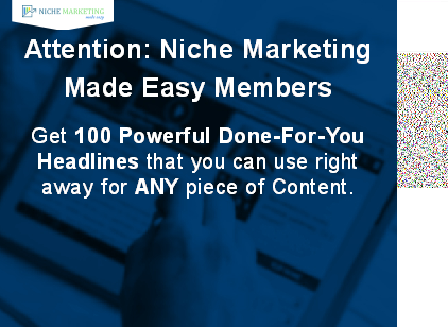 cheap 100 Powerful Headlines - Niche Marketing Made Easy