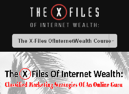 cheap The X-Files Of Internet Wealth