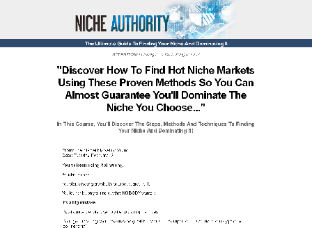 cheap Niche Authority Guide E-book