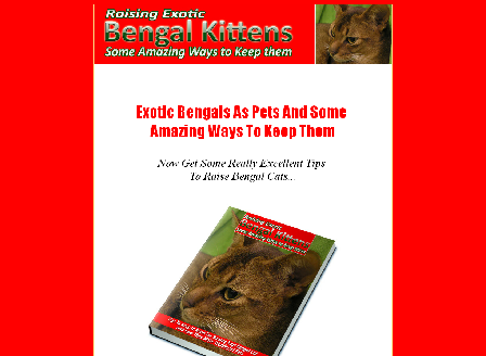 cheap Raising Exotic Bengal Kittens