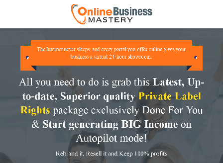 cheap Online Business Mastery PLR