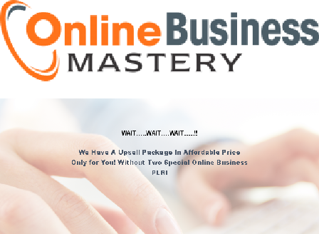 cheap Online Business Mastery Downsell