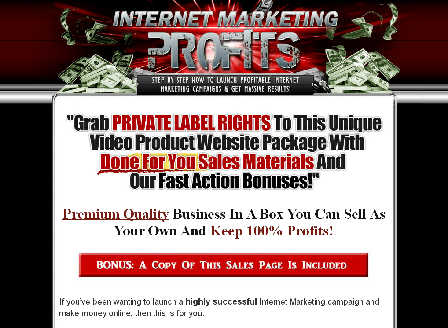 cheap Internet Marketing Profits Video Series With Private Label Rights
