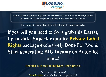cheap Blogging for Profit PLR