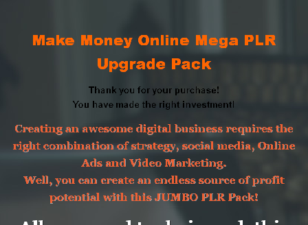 cheap Blogging for Profit Upsell-3