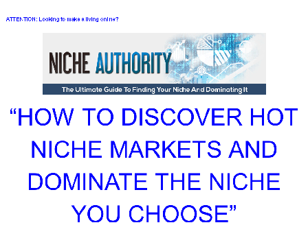 cheap Niche Authority Checklist