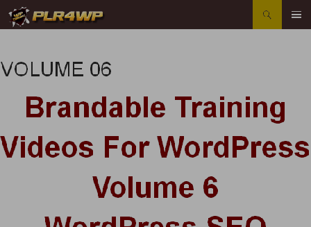 cheap PLR4WP Volume 06 - WordPress SEO
