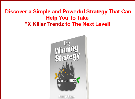 cheap The Winning Strategy Guide