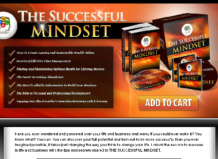 cheap The Successful Mindset