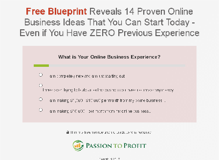 cheap The Passion Business 7-Step Blueprint