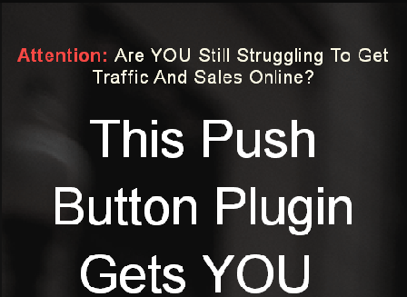 cheap Push Button Traffic Basic
