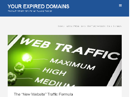 cheap The New Website Traffic Formula