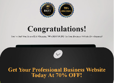 cheap Premium Business Website Development 2