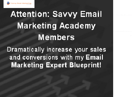 cheap Email Expert - Savvy Email Marketing Academy