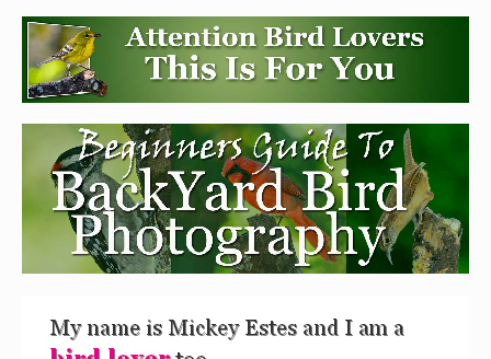 cheap Beginners Guide to Backyard Bird Photography