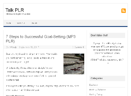 cheap PLR MP3: 7 Steps to Successful Goal-Setting