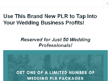 cheap Professional Wedding Article PLR Pack 1