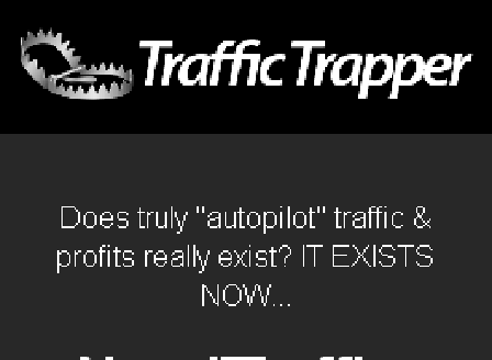 cheap Traffic Trapper - Single Site License
