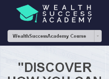 cheap Wealth Success Academy - 30%OFF