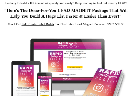 cheap PLR Lead Magnet - Rapid Instagram Profits