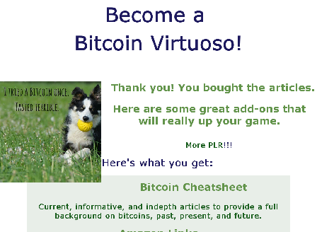 cheap Become a Bitcoin Virtuoso OTO1