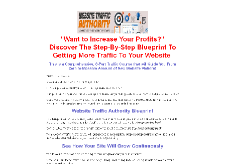 cheap Website Traffic Authority